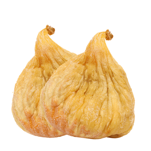 Dağ İnciri